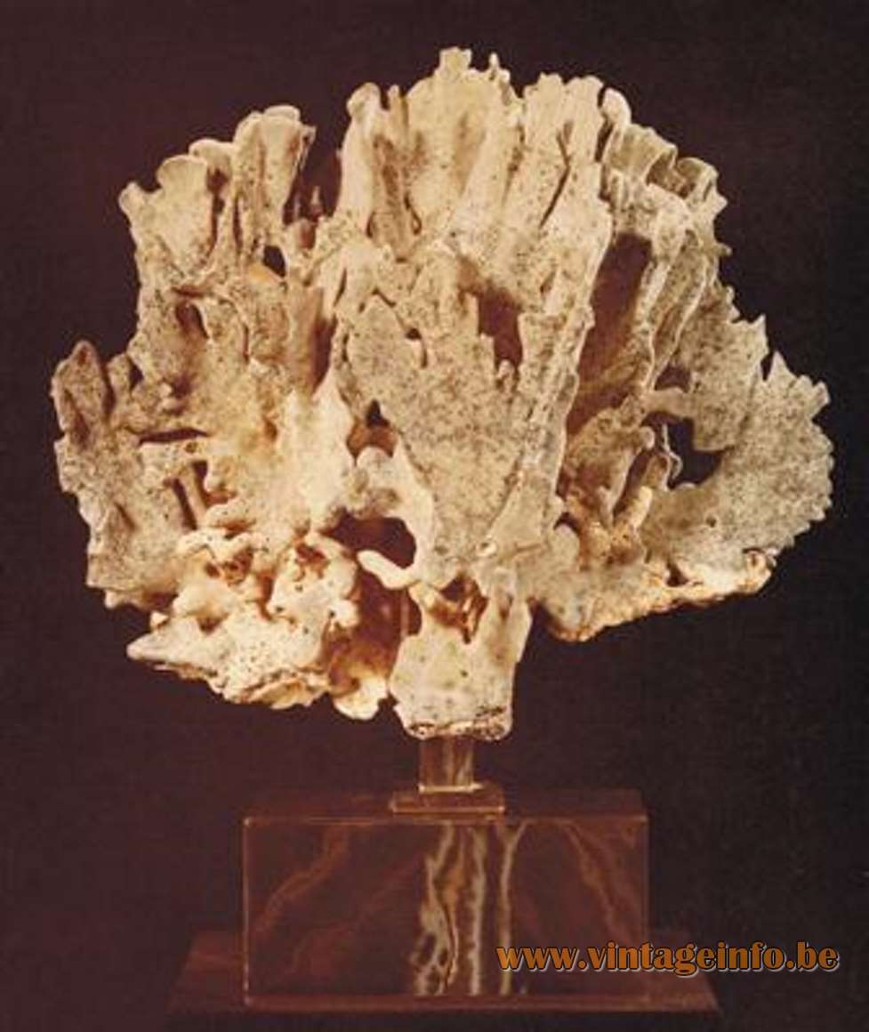 Willy Daro Coral Lamp