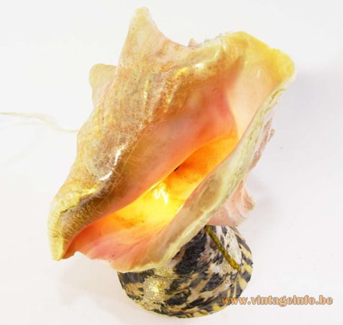 Shell Souvenir Light 1