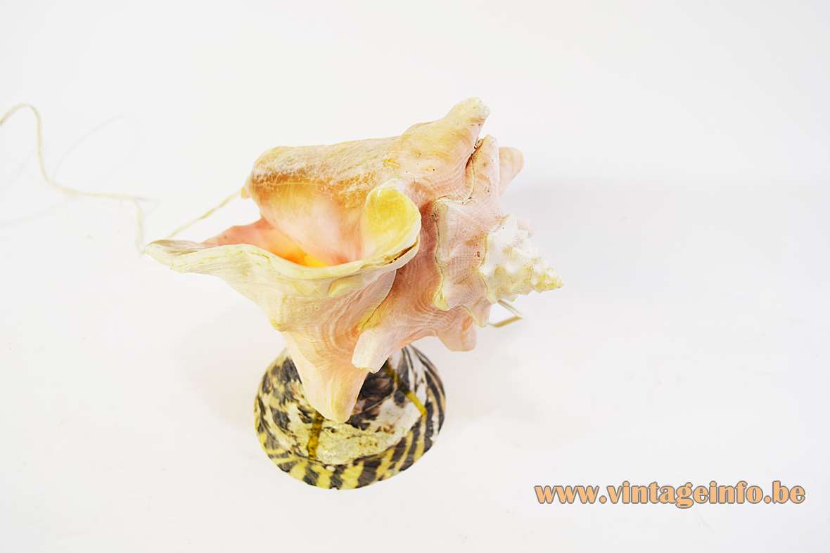 Seashell souvenir table lamp queen conch lampshade cone top shell base 1950s 1960s tourist light