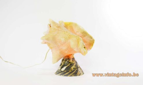 Shell Souvenir Light 6