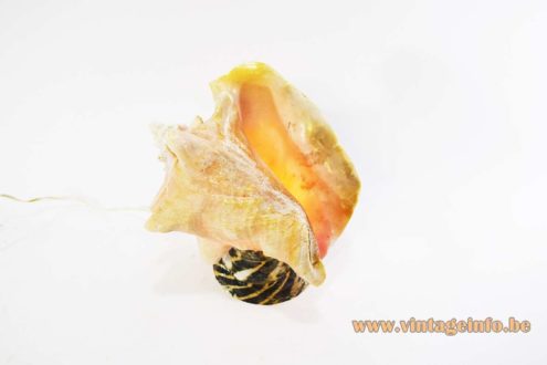 Shell Souvenir Light 7