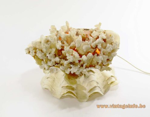 Giant Clam Table Lamp 3