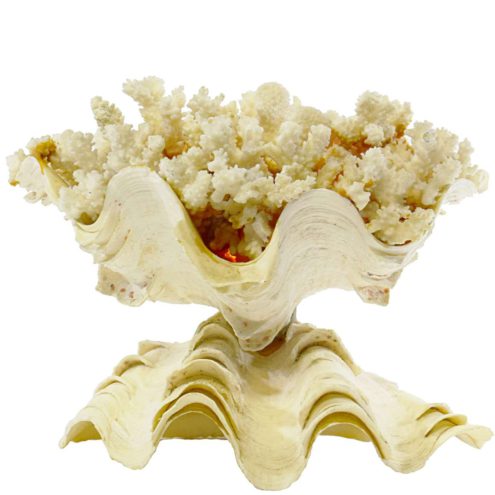 Giant clam table lamp sea shell tourist souvenir cauliflower coral lampshade E14 lamp socket 1970s 1980s