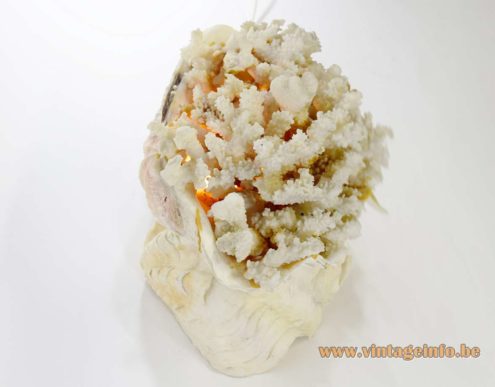 Giant Clam Table Lamp 6