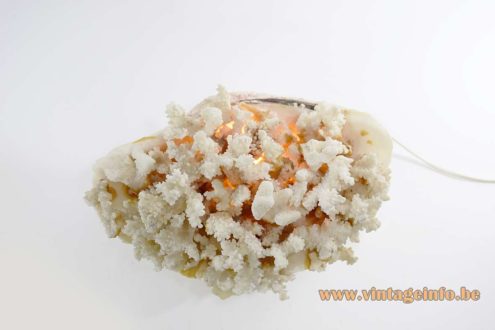 Giant Clam Table Lamp 8