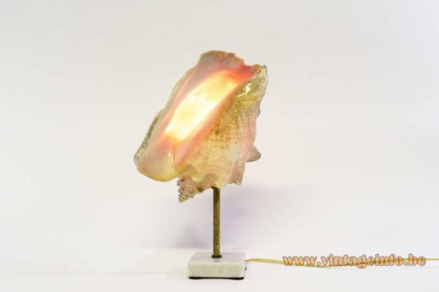 Queen Conch Table Lamp 1