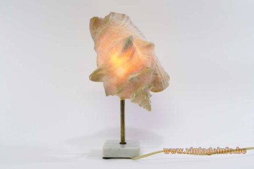 Queen Conch Table Lamp 5