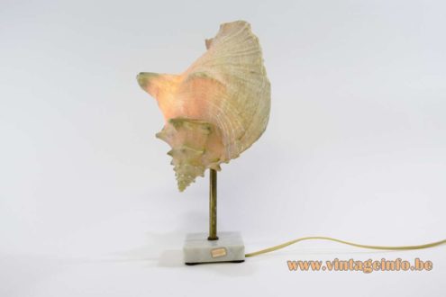 Queen Conch Table Lamp 6