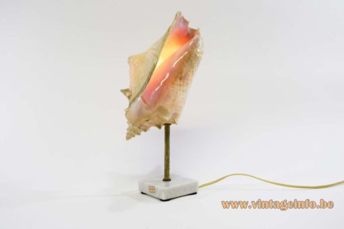 Queen Conch Table Lamp 7