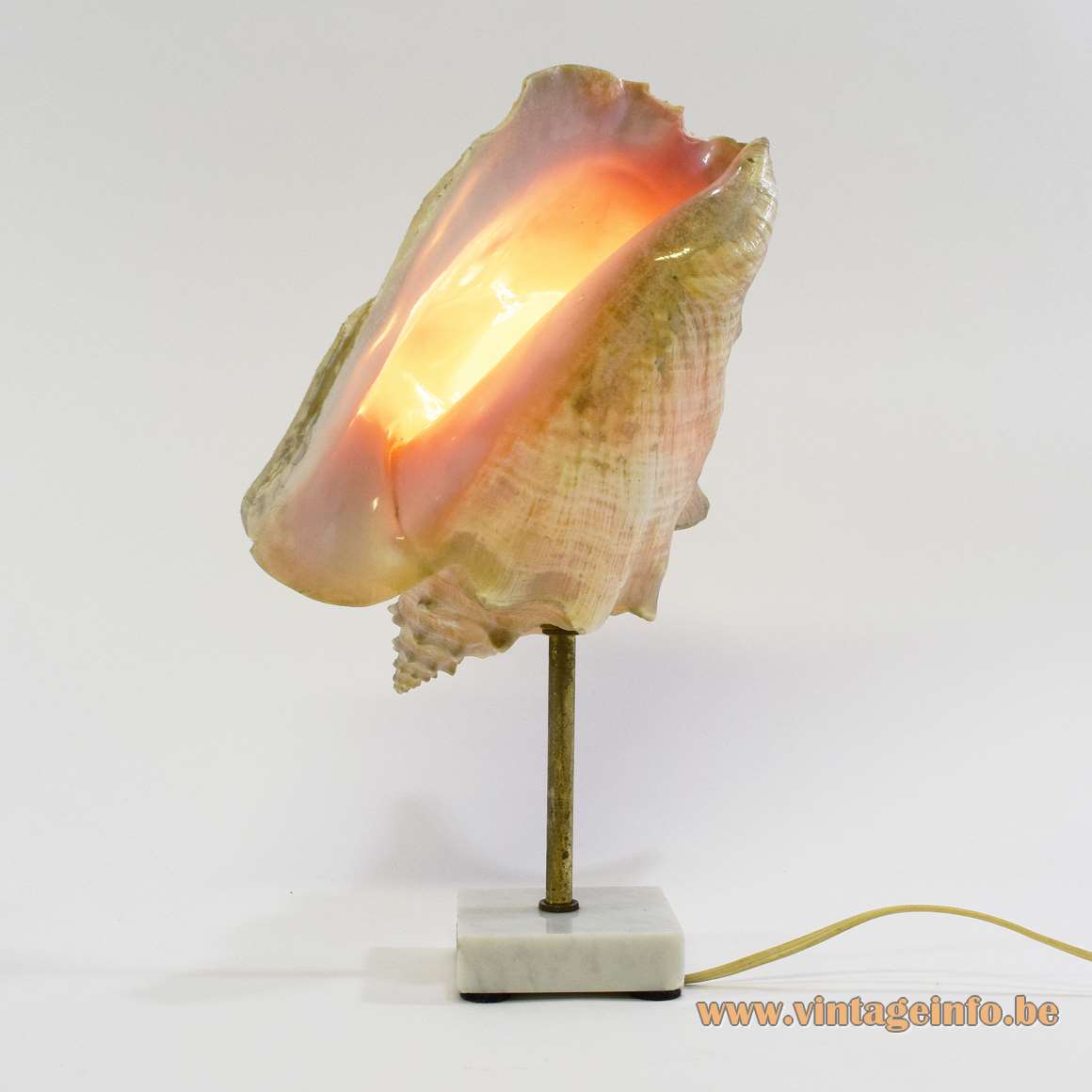 Queen Conch table lamp brass rod Carara marble base Bakelite socket 1970s lobatus gigas souvenir 1960s