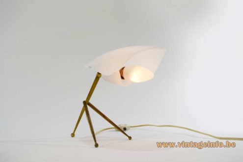 Brass Acrylic Tripod Desk Lamp 4