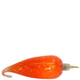Mottled glass chilli pepper lamp Murano clear and orange glass fruit vegetable 1990s 2000s light