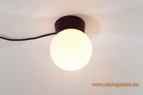 Niko Globe Flush Mount 7