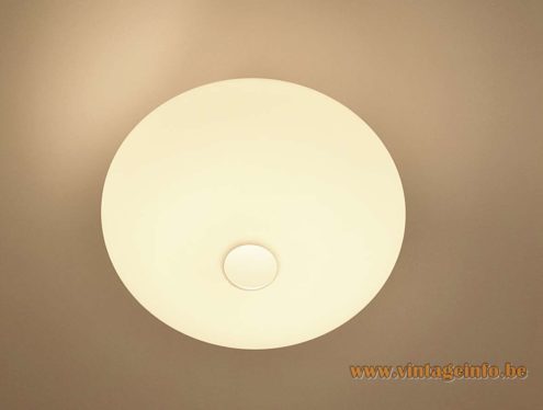 Raak Oval Ceiling Lamp B 1069 4