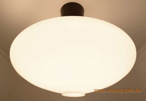 Raak Oval Ceiling Lamp B 1069 8