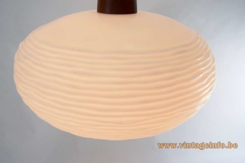 Oval Globe Pendant Lamp 4