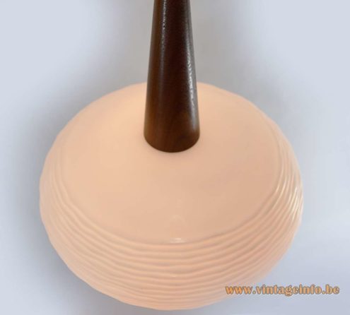 Oval Globe Pendant Lamp 5