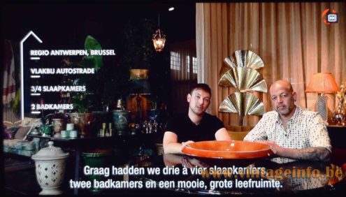 Bottega Gadda brass rhubarb leaf floor lamp used as a prop in the Huizenjagers TV series (2019) Belgium